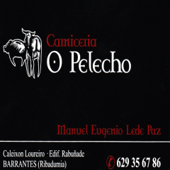 A_3394_M_3441_3376_CARNICERIA O PELECHO.jpg